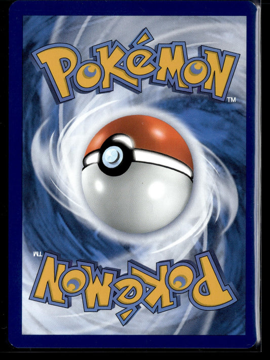 Évoli SVP Black Star Promos 173 NM (Back)