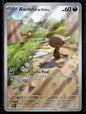Axoloto de Paldea  Flammes Fantasmagoriques 102 NM