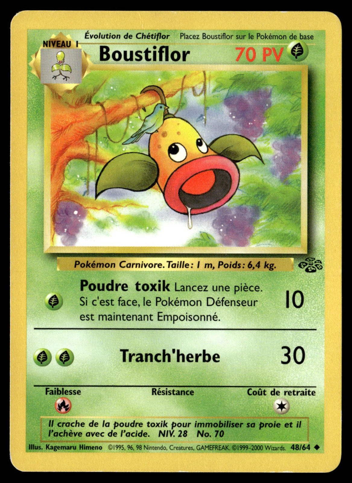 Boustiflor Peu Commune Jungle 48 GOOD