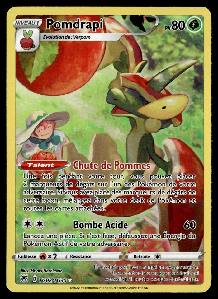Pomdrapi TG02 - NM