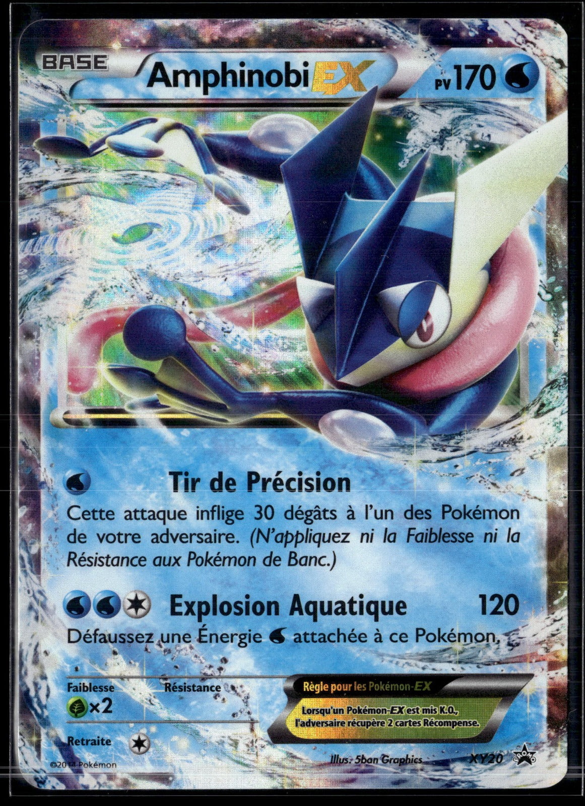 Amphinobi EX Sans Rareté Promo XY XY20 