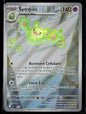 Symbios Promo 212
