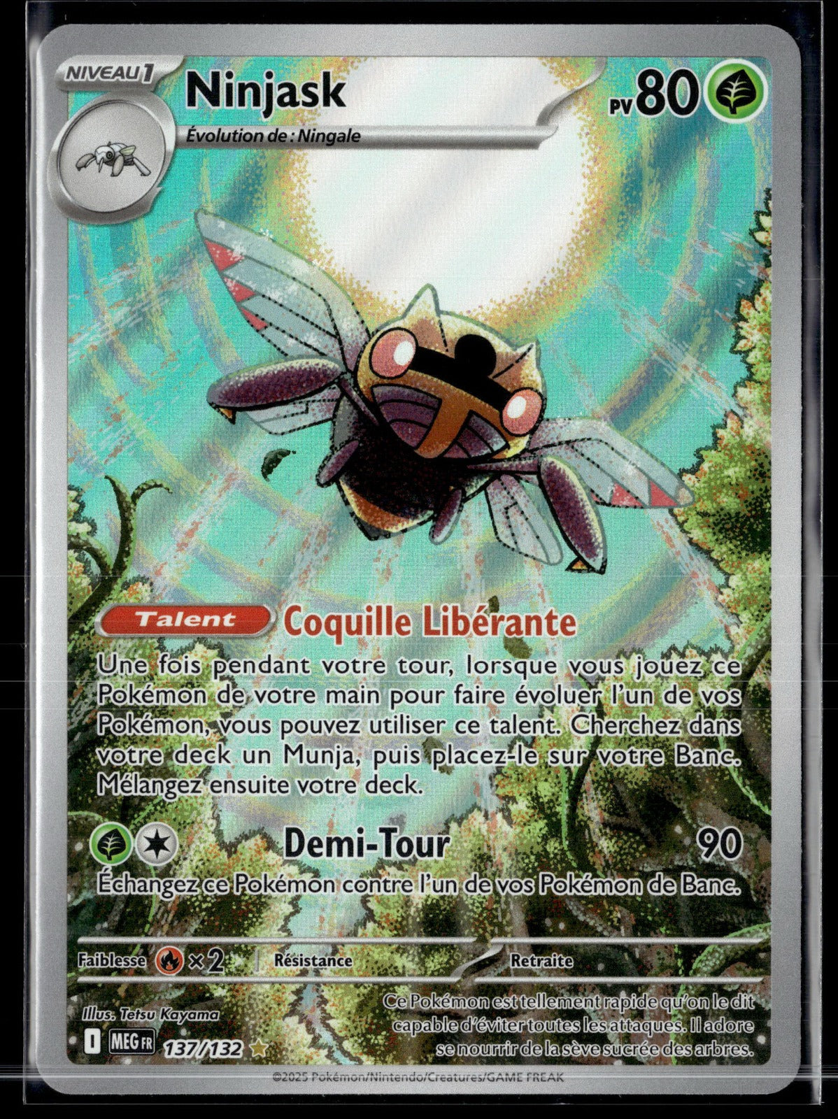 Ninjask - Méga-Évolution 137 NM