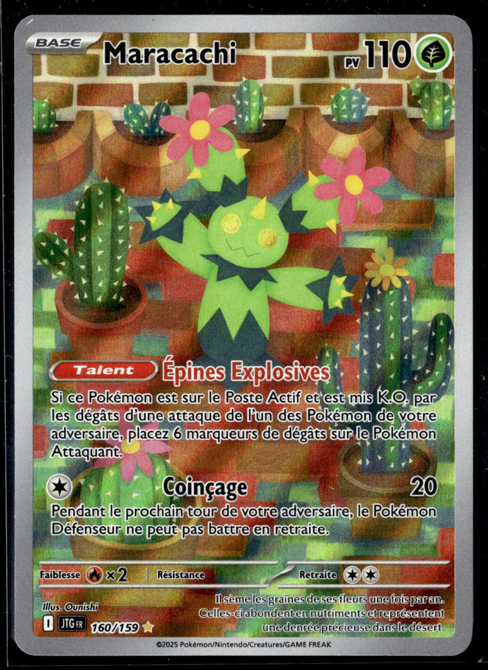 Maracachi 160 - NM