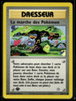 La marche des Pokémon Commune Neo Genesis 102 EXC