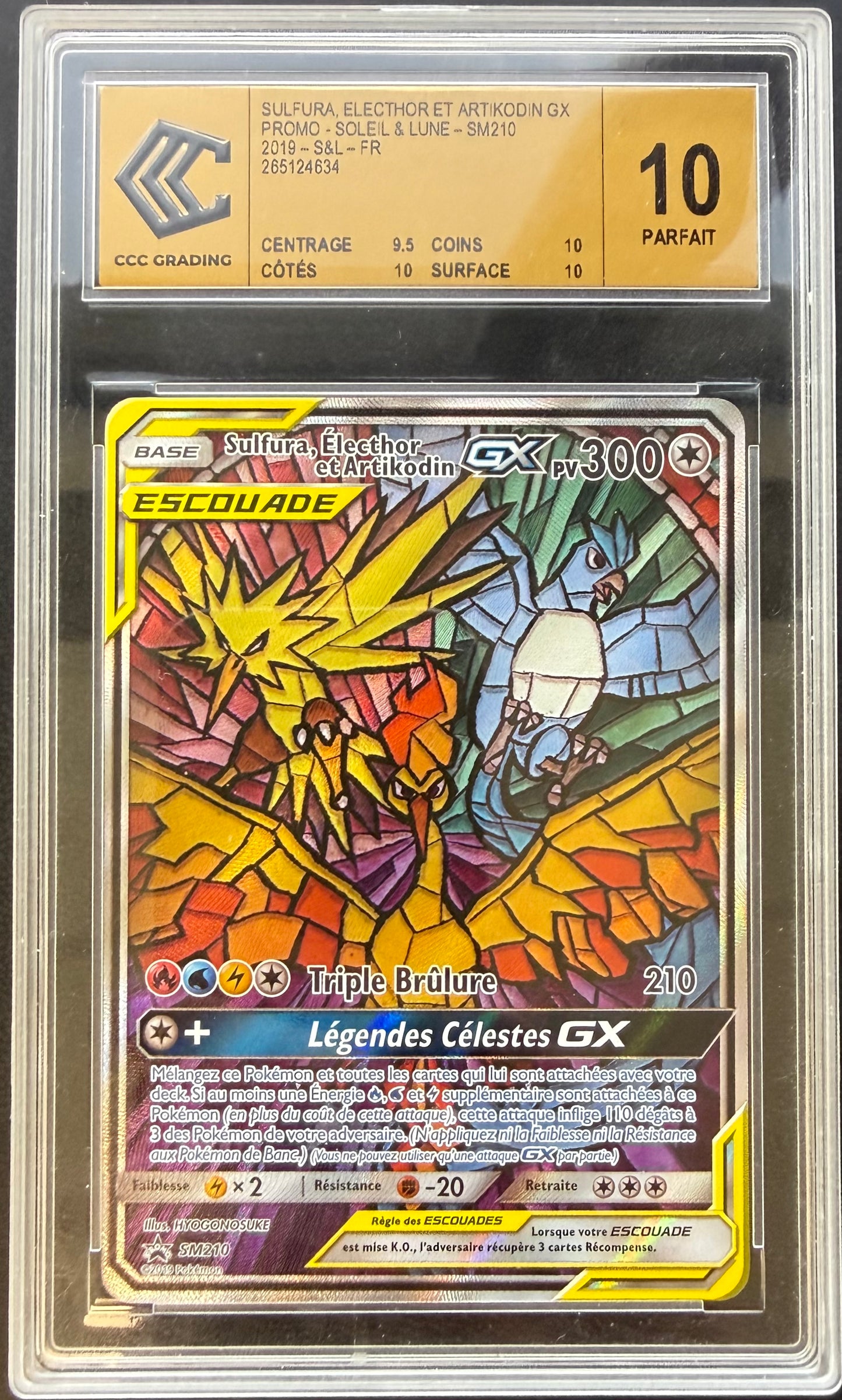 Sulfura, Électhor et Artikodin GX Promo SM210
