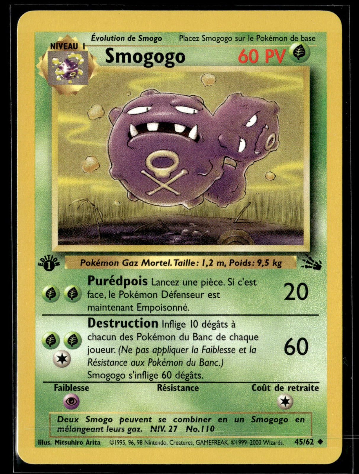 Smogogo Peu Commune Fossile 45 NM