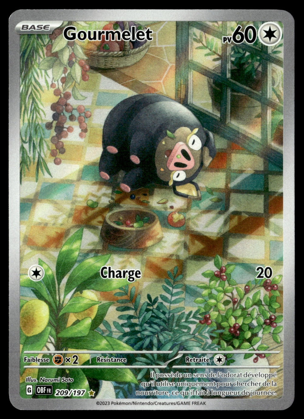 Gourmelet 209/197 - NM