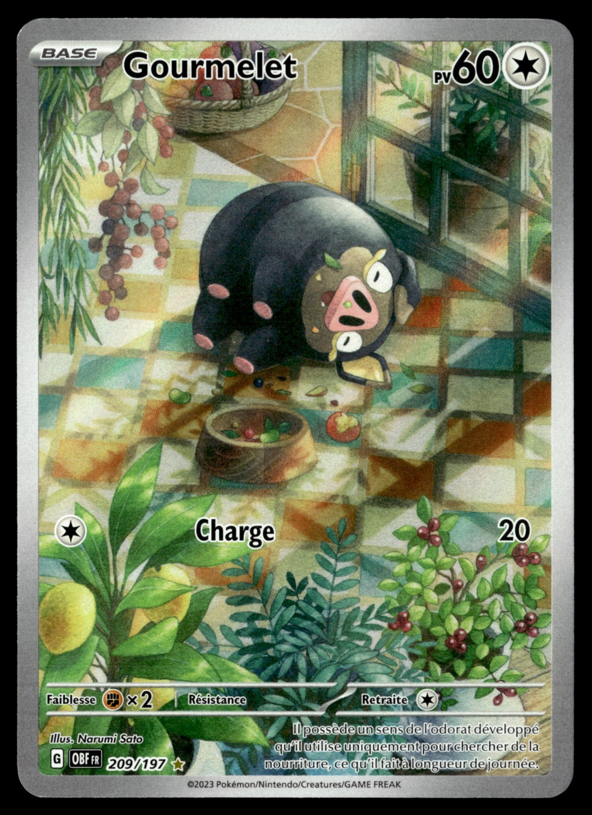 Gourmelet 209/197 - NM