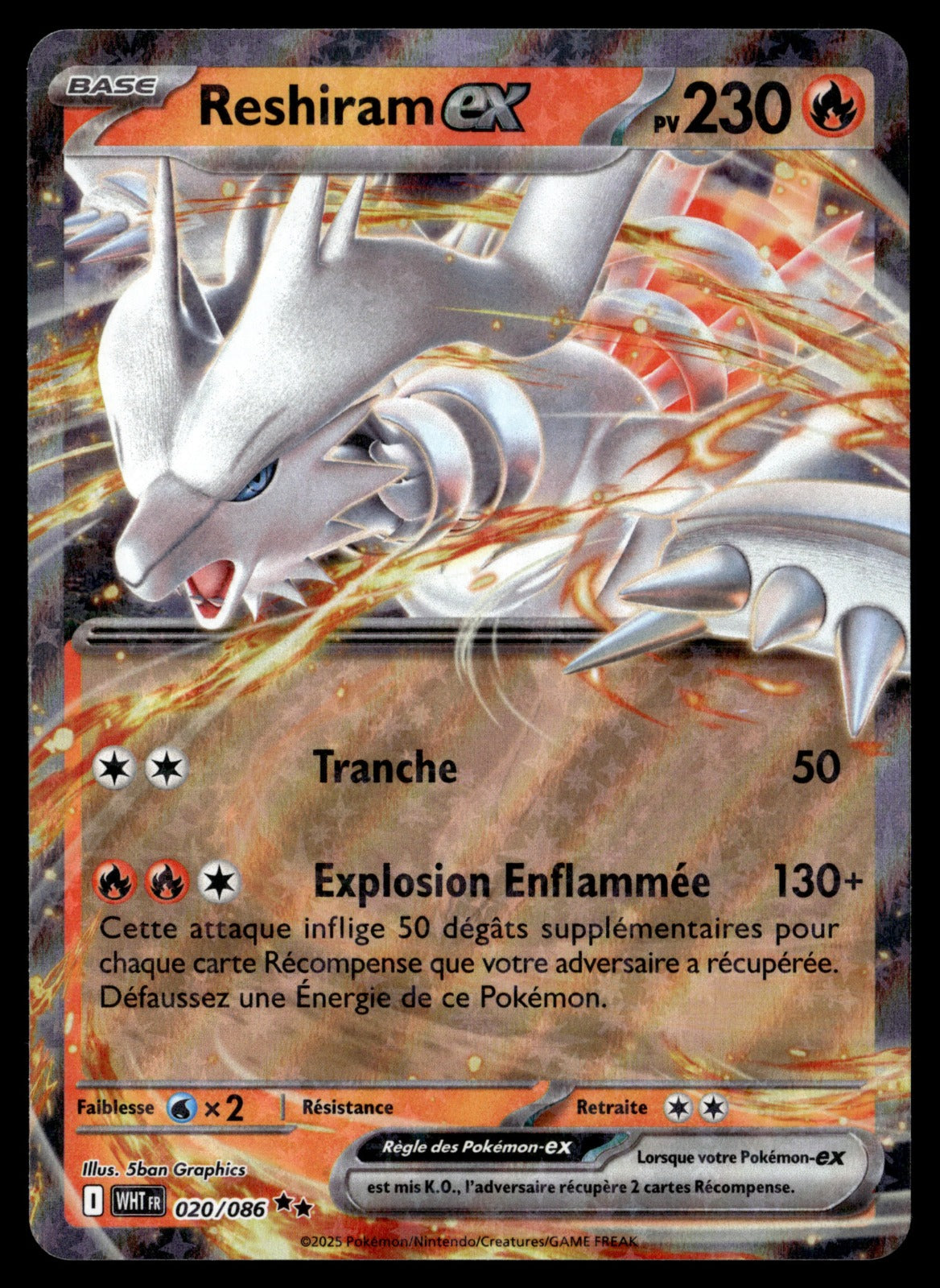 Reshiram-ex  Flamme Blanche 020 NM