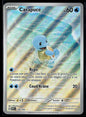 Carapuce AR 151 170 NM