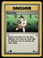 Recyclage Commune Fossile 61 EXC