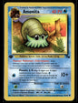 Amonita Commune Fossile 52 NM