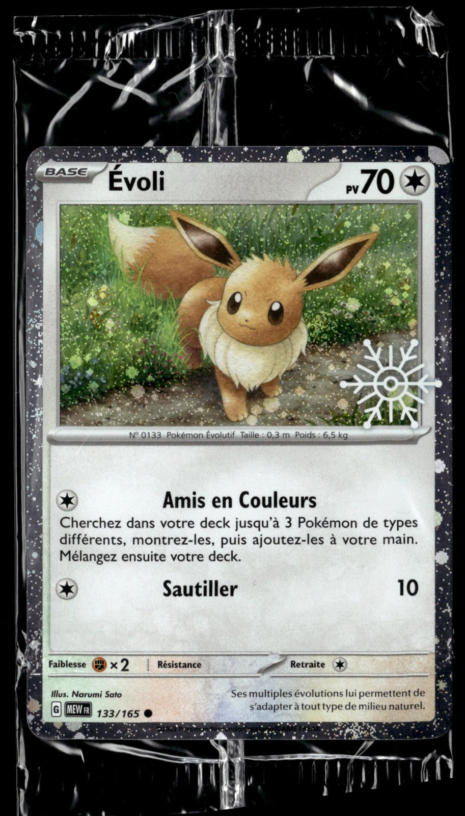 Évoli Cosmo Holo Flocon 2023
