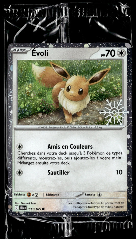 Évoli Cosmo Holo Flocon 2023