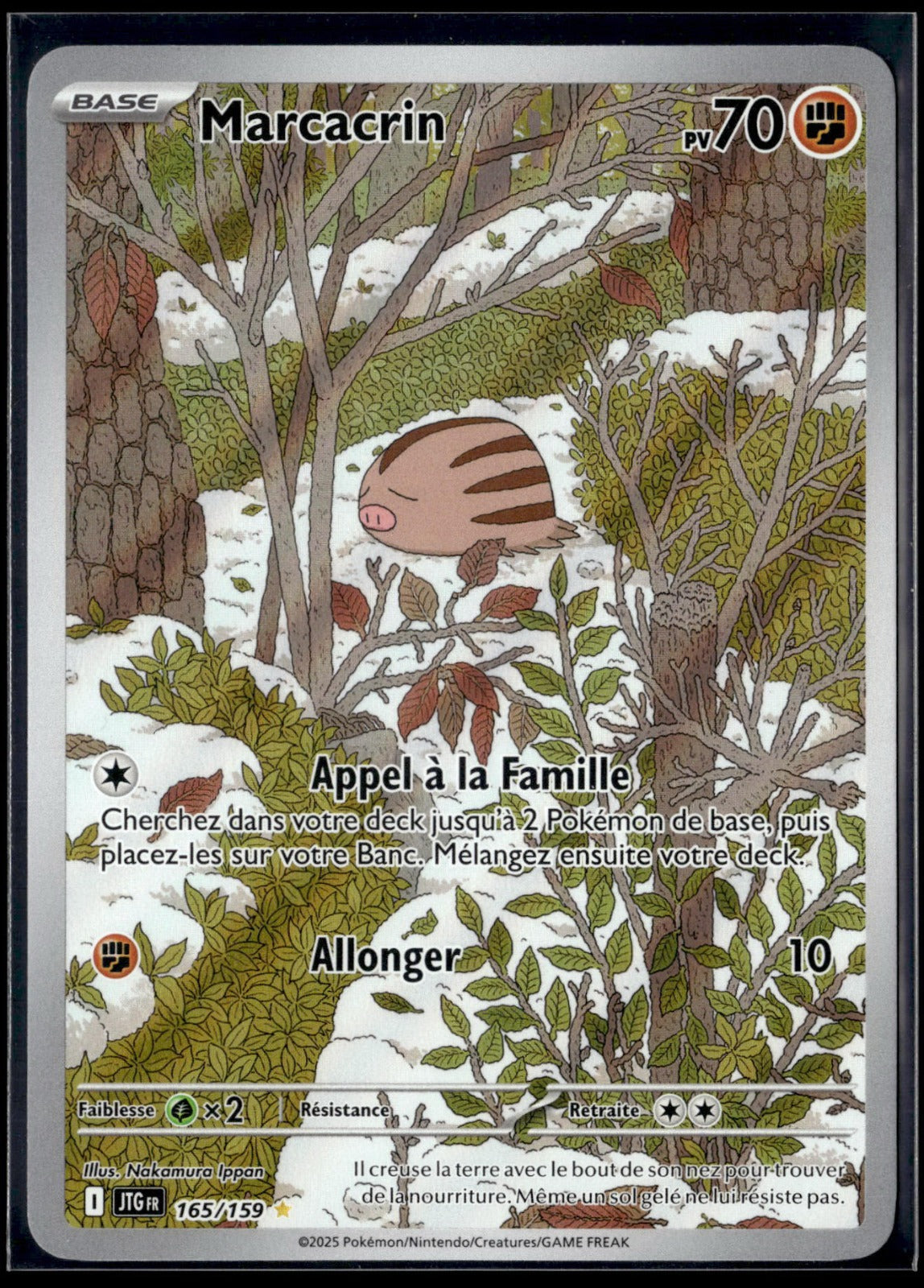 Marcacrin Illustration rare Aventures Ensemble 165 NM