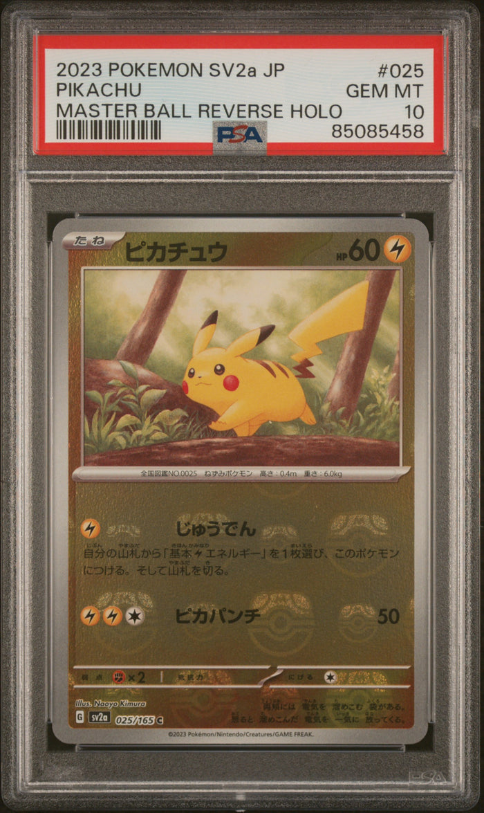 Pikachu Master Ball 025