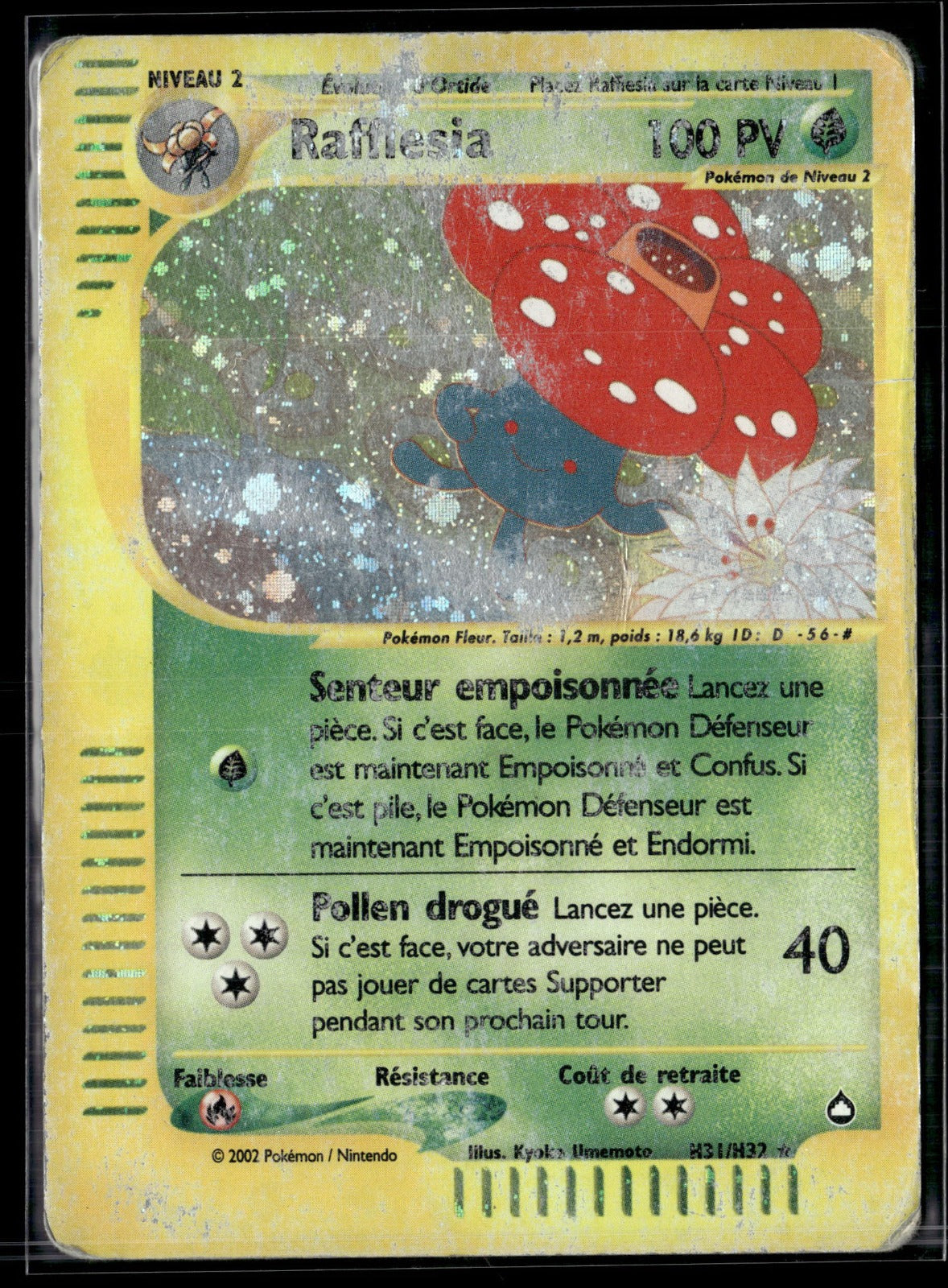 Rafflesia Rare Aquapolis 43 