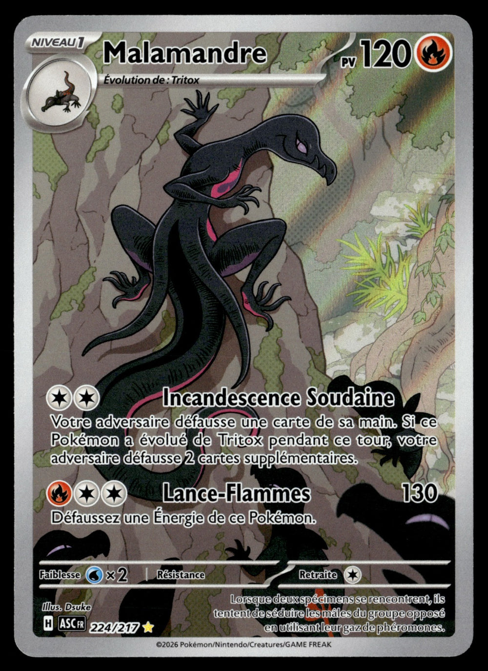Malamandre 224/286 - NM