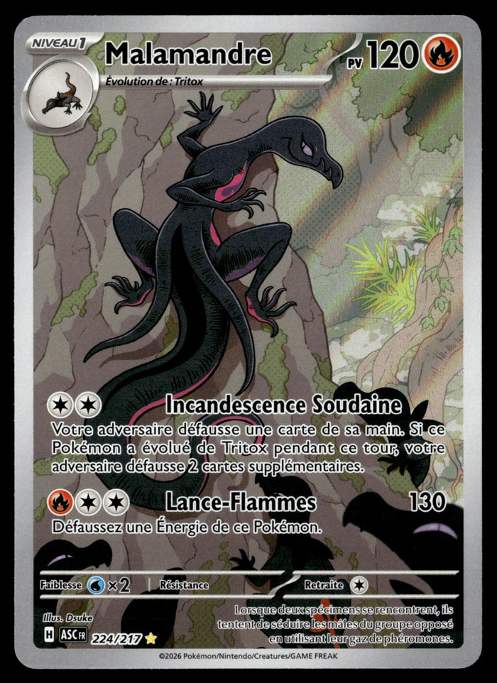 Malamandre 224/286 - NM