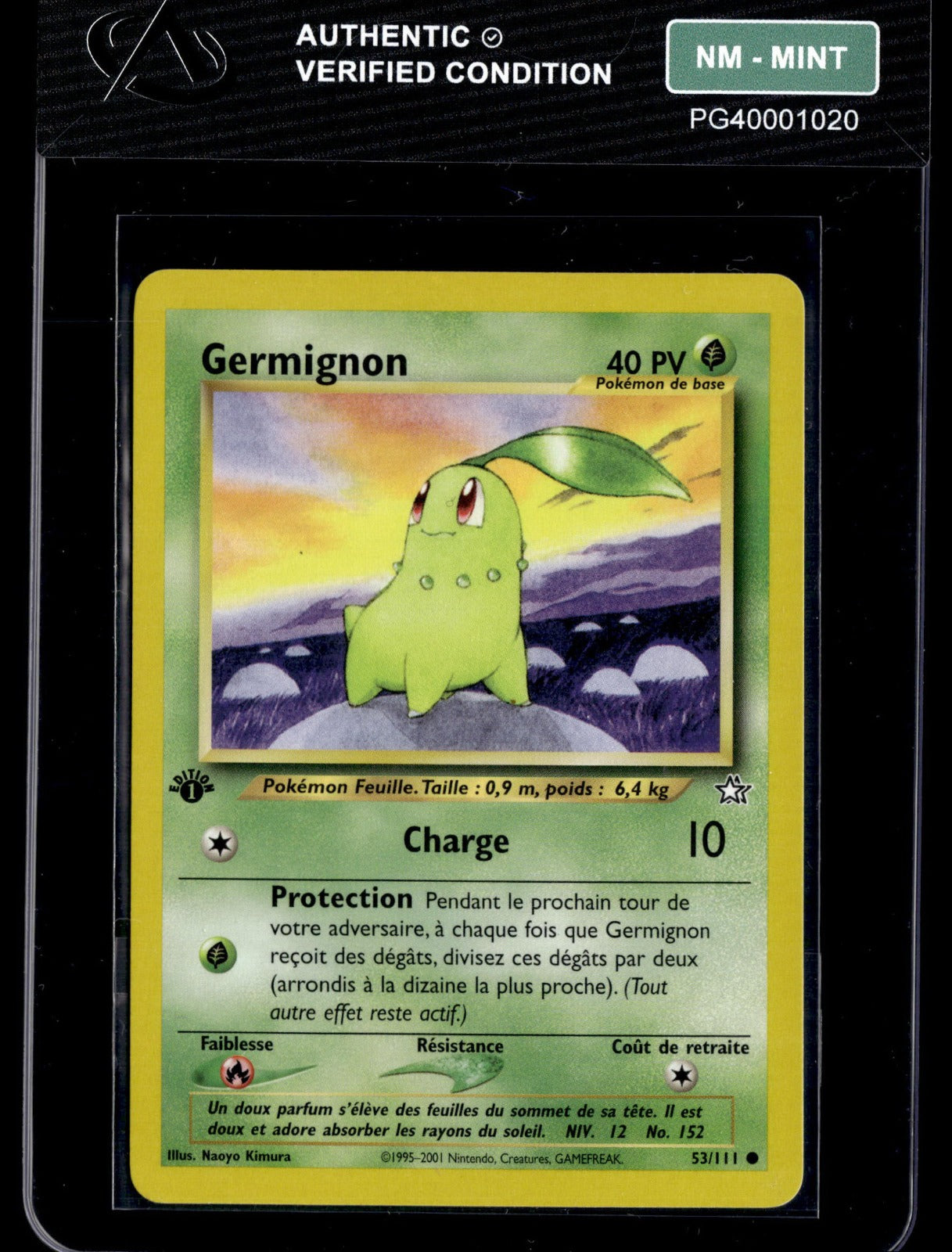 Germignon Commune Neo Genesis 53 NM