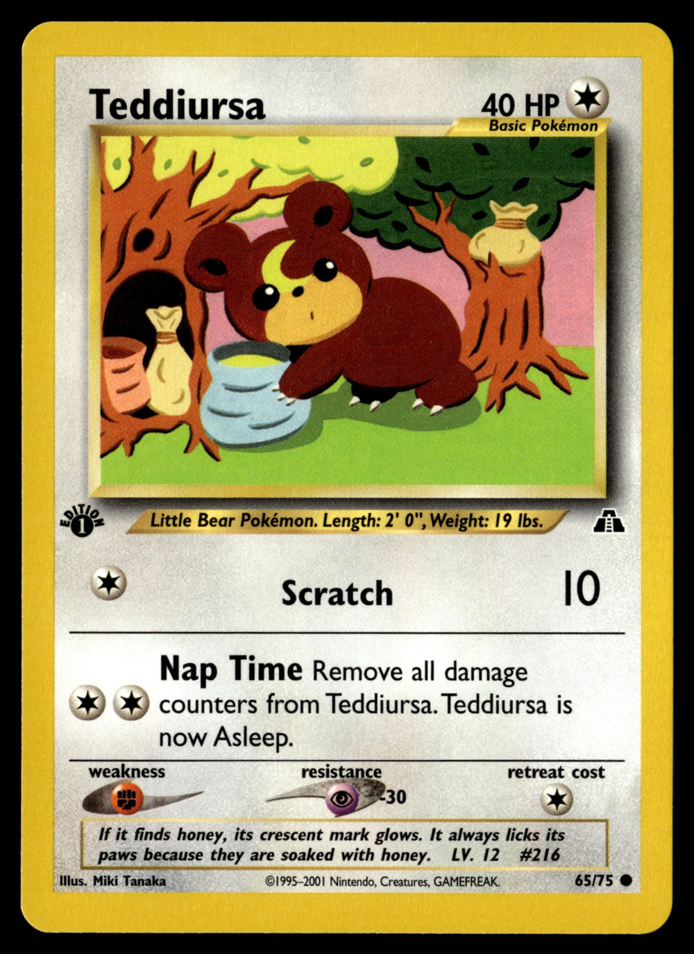 Teddiursa 65/75 - NM