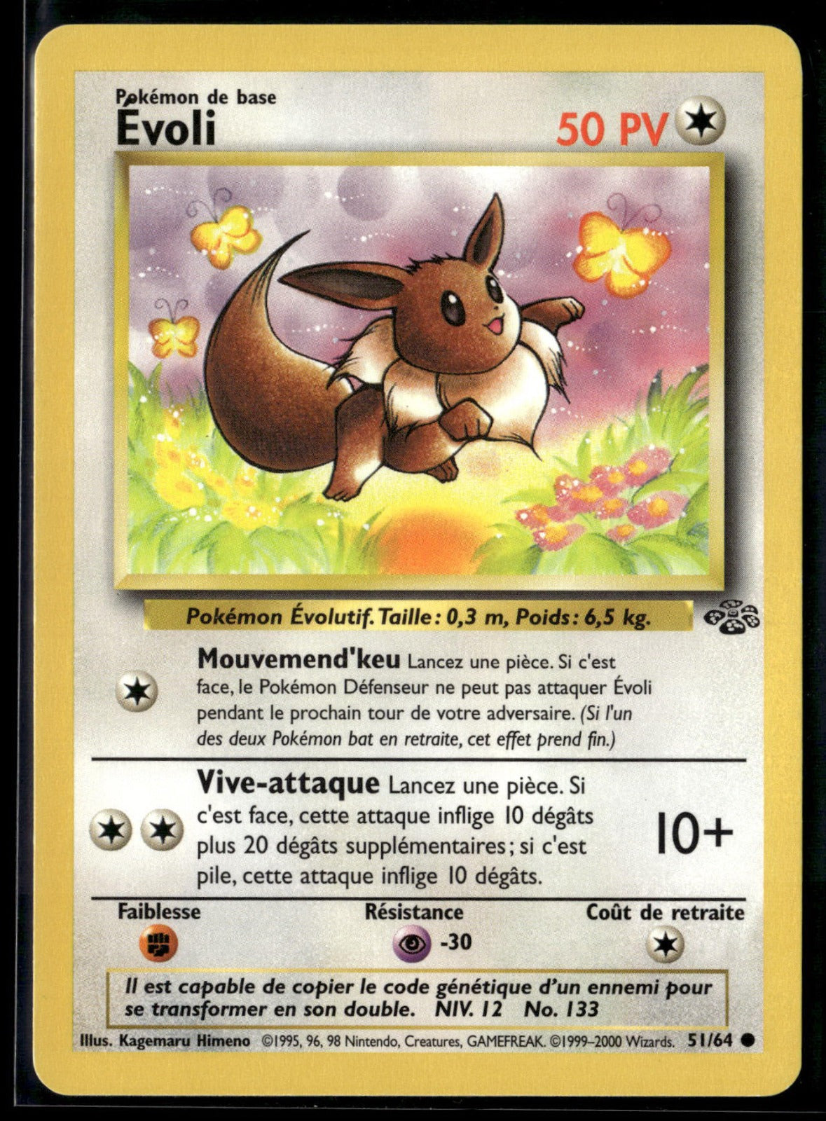 Évoli Commune Jungle 51 
