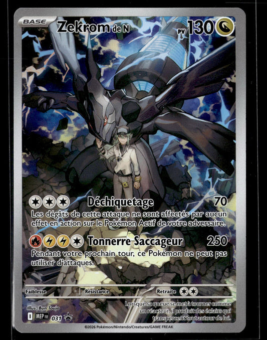 Zekrom de N 031
