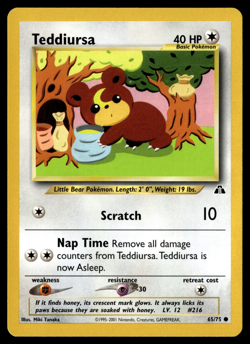 Teddiursa 65/75 - NM