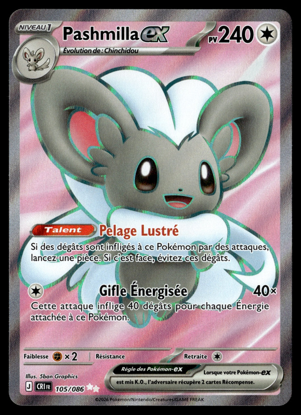 Pashmilla-ex 105/86 - NM