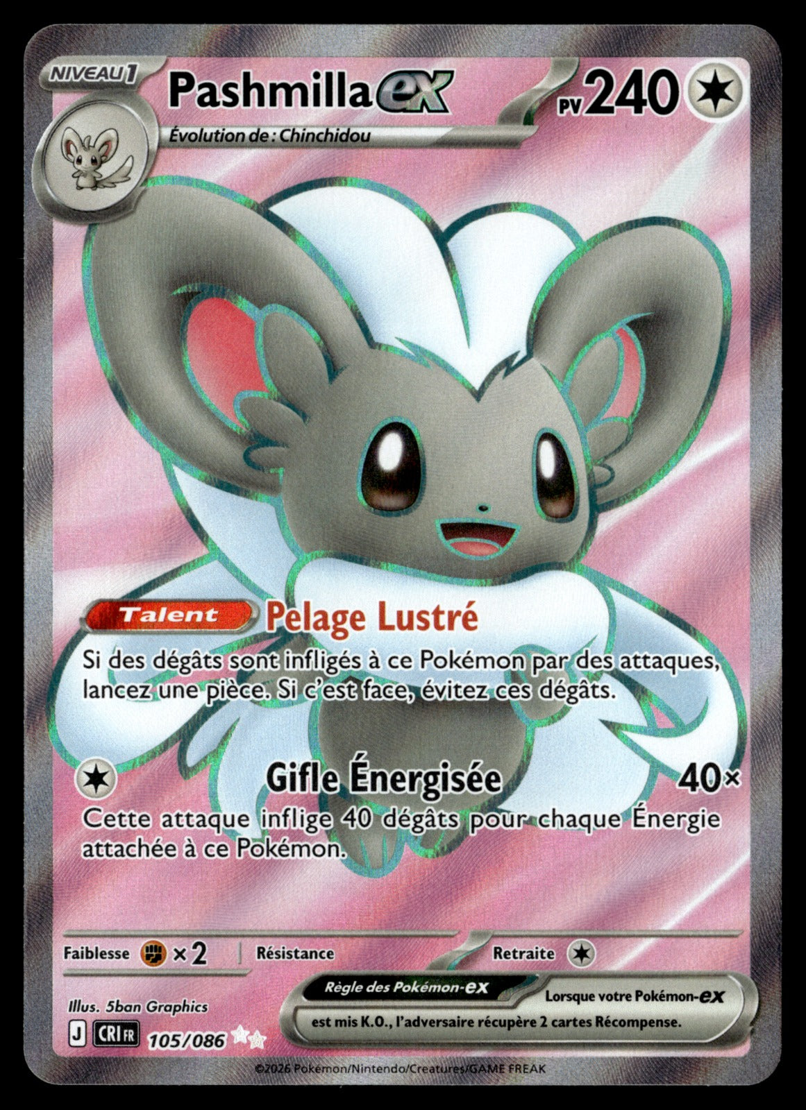 Pashmilla-ex 105/86 - NM