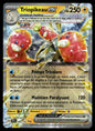 Triopikeau-ex  Forces Temporelles 060 NM