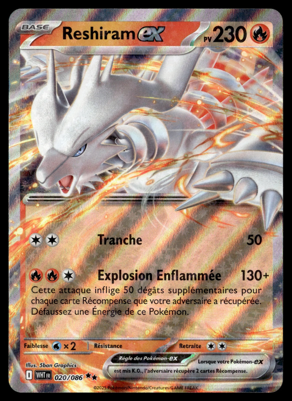 Reshiram-ex  Flamme Blanche 020 NM
