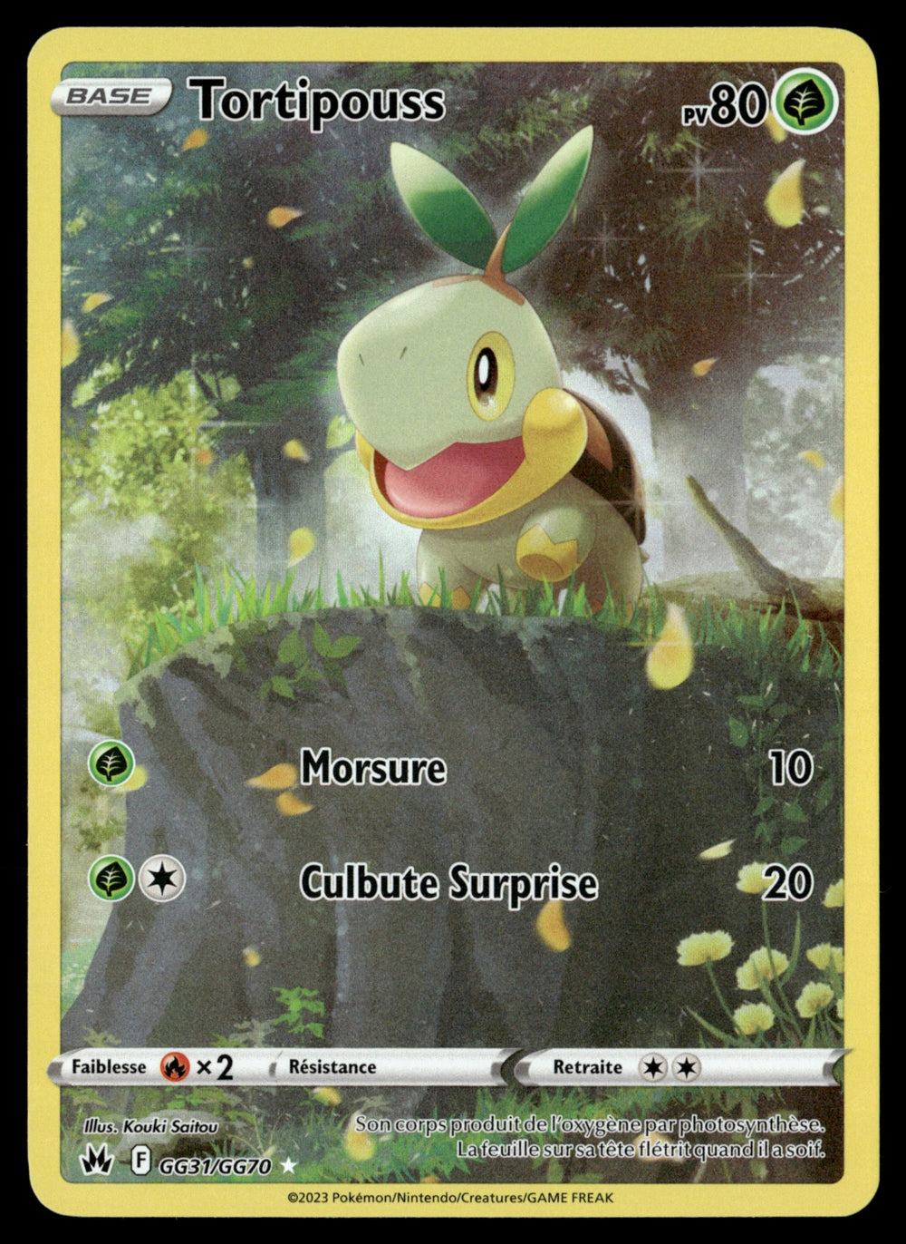 Tortipouss GG31 - NM