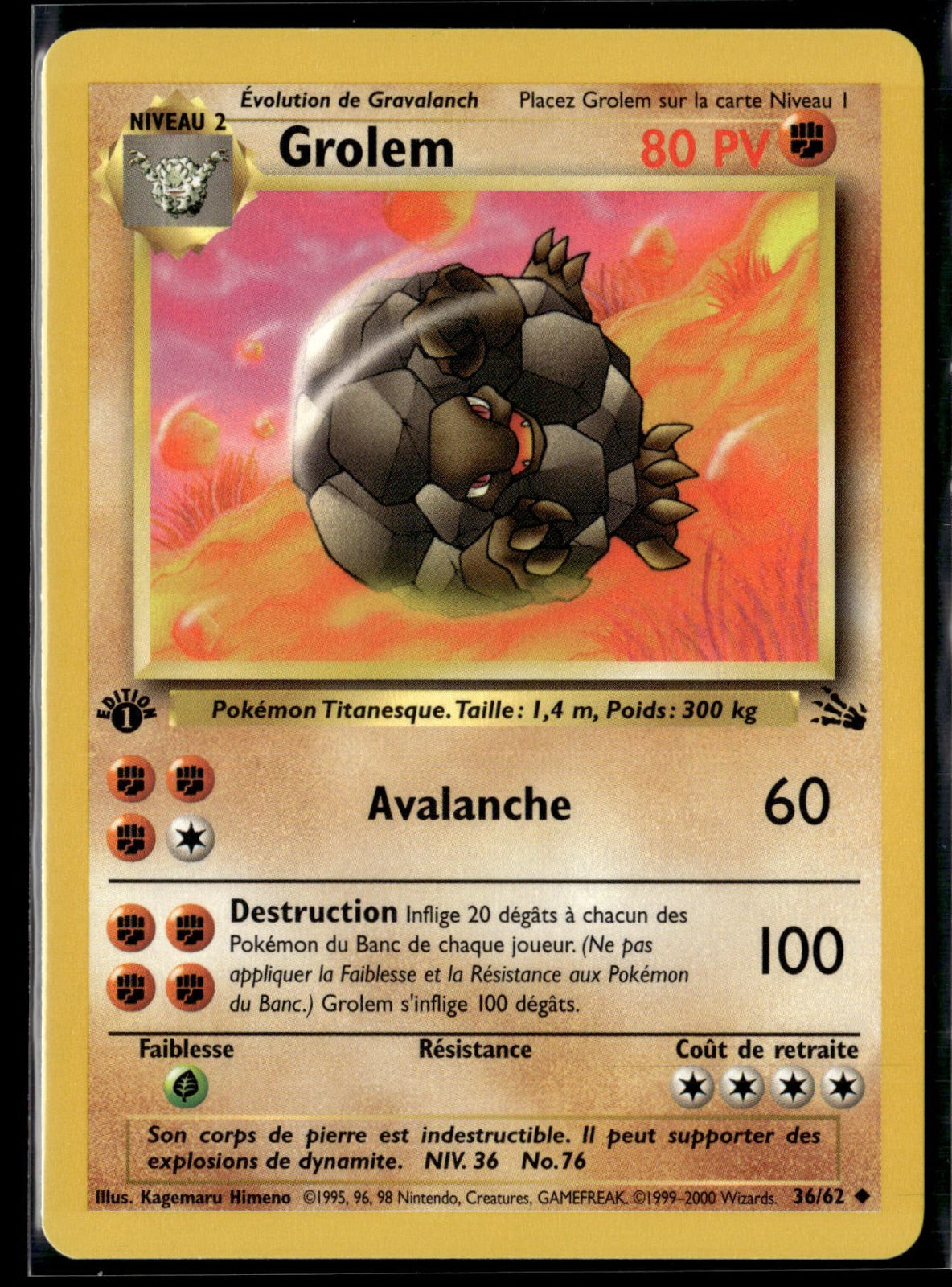 Grolem Peu Commune Fossile 36 NM