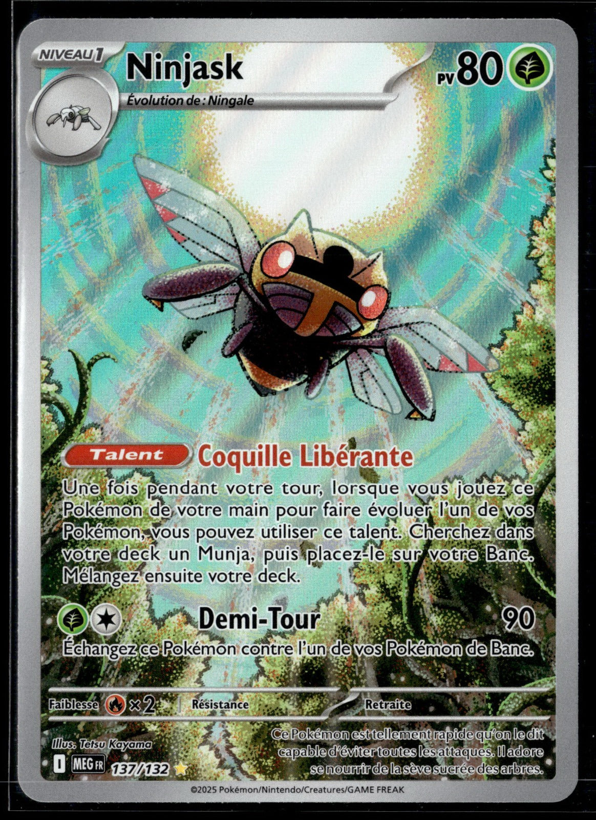 Ninjask  Méga-Évolution 137 NM