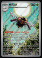 Ninjask  Méga-Évolution 137 NM