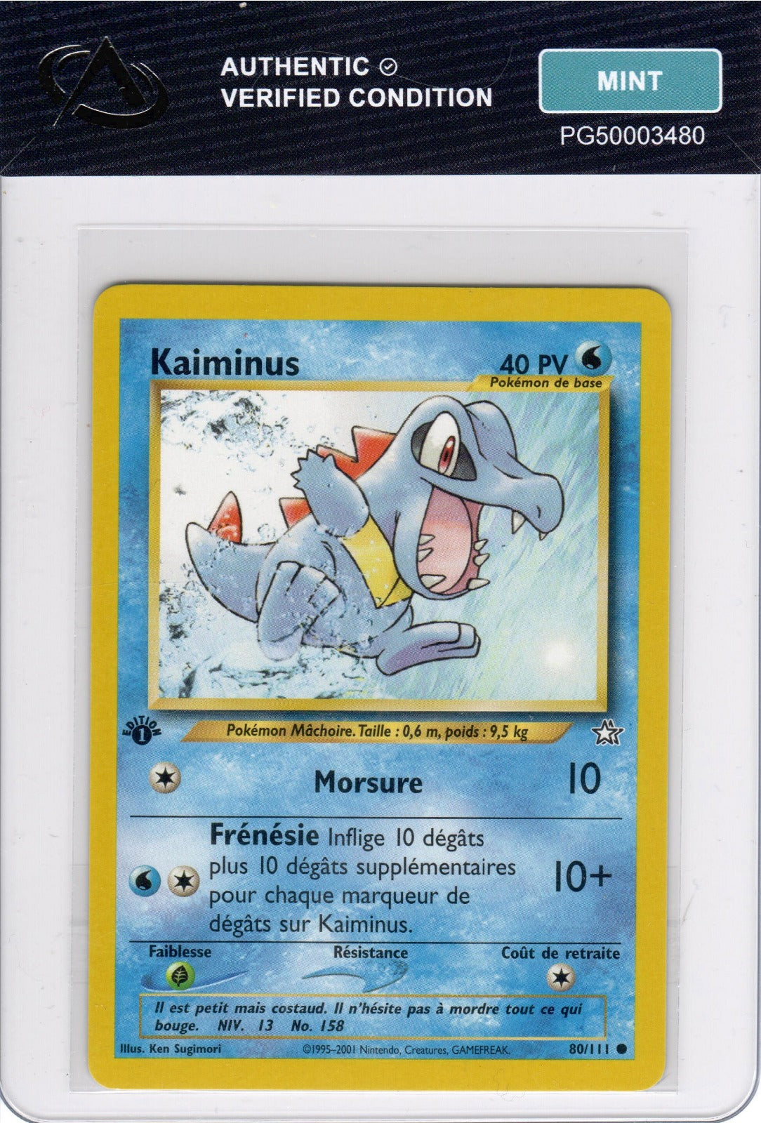 Kaiminus Commune Neo Genesis 80 Mint