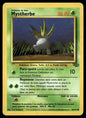 Mystherbe Commune Jungle 58 GOOD
