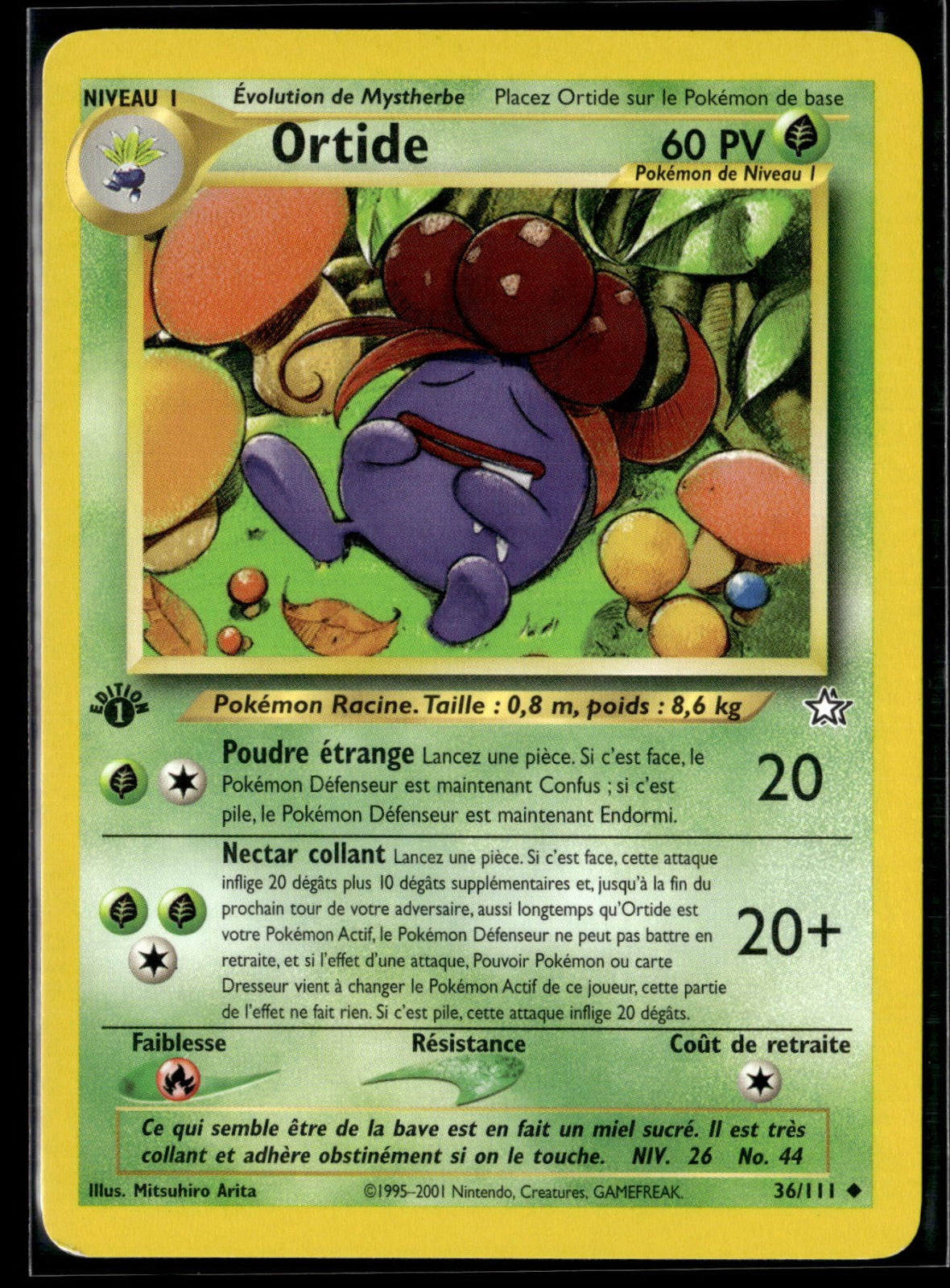 Ortide Peu Commune Neo Genesis 36 NM